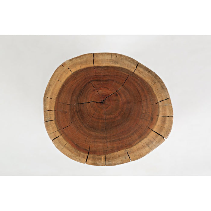 Madera Stump Accent Table